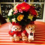 10311313_452861001574547_1055829215_a