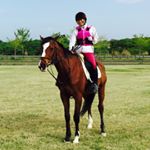 12479531_194097850942696_688570901_a