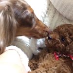 11934694_1627680940842283_961492907_a