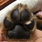 11375143_1166657676697117_859024198_a