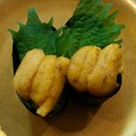 12728512_763159030451827_474955012_a