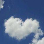 11821733_750774555045615_388055189_a