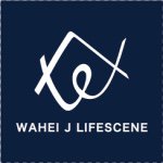 11357982_1454896134806066_3280900_a