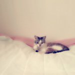 11282031_842921882411747_1093117639_a