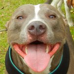 11084697_787529911360387_1721380866_a