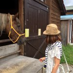 10623858_1472628896343092_1887412481_a