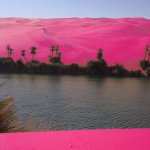 11098475_796676867090593_1049786469_a