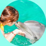 10983648_335500753320570_1253883235_a