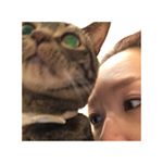 11379982_1013417158689839_657360790_a