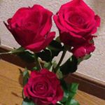 11887179_1474763436158300_701839257_a