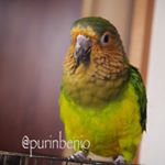 12568086_586168524870254_1274711926_a