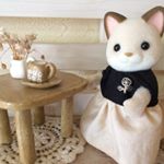 12724823_1665435020373860_1308298161_a