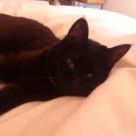 10817542_1460971860876826_1469376126_a