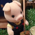 12081025_1552854621678409_1245166265_a