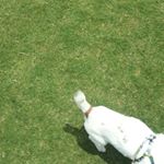 12269886_531845836973772_926667141_a