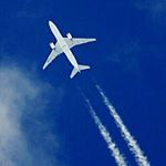 12501494_1511134029181877_2035928150_a