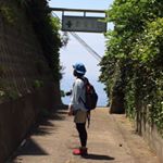 1516144_558974167593670_860489134_a