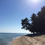 12912770_1683607101855971_1693652872_a