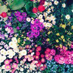 11280027_1582154002073174_1707102702_a