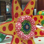 11374256_1044845898860196_912951619_a