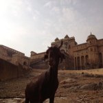 11281989_835157479893467_1488135482_a