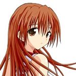 10865029_1756949124517589_1986503329_a