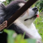 12445982_986114774797490_665396536_a