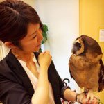 10731504_333155056867695_1673695474_a