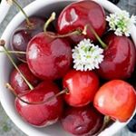 12556000_1677055479236342_1632032415_a