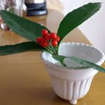 12523645_1025774620863219_2039297251_a