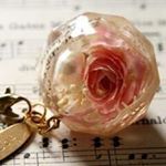 926288_843279819115927_1882807908_a