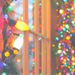 12407522_463283333859157_26604426_a