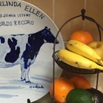 12747681_1697689453850344_1046216785_a