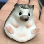 12716843_1659053531026977_1881075783_a