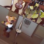 12750241_571771639672255_1456988714_a