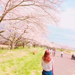 12918633_580127092151308_1235971862_a