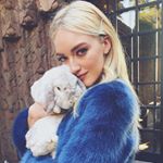 1173032_1544228232534435_893334936_a