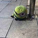 1389692_206455806401814_539995080_a