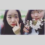 12912366_538807312991334_723205324_a