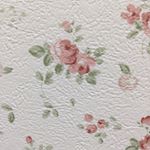 12534170_1678997729048394_683406287_a