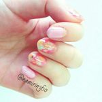 12728441_451277795065563_689604083_a