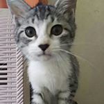 12270002_659267057509899_1566302761_a