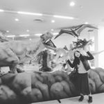 12798189_496064903930934_502113638_a