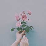 11856580_1742483322654517_941441541_a