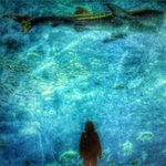 11352428_934299016631050_301734976_a