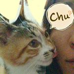 10268987_800804083356774_1339645509_a