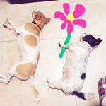 11809657_981376075247992_1632425783_a