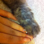 1517148_751480171645944_439614632_a