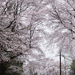 12070730_597428803752723_1552755040_a