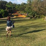 11899531_1647455312192645_1544168718_a